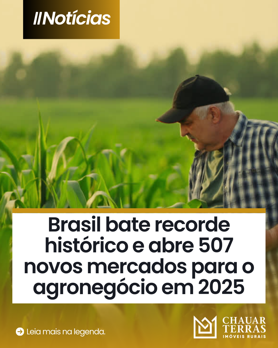 Brasil bate recorde histórico e abre 507 novos mercados para o agronegócio em 2025