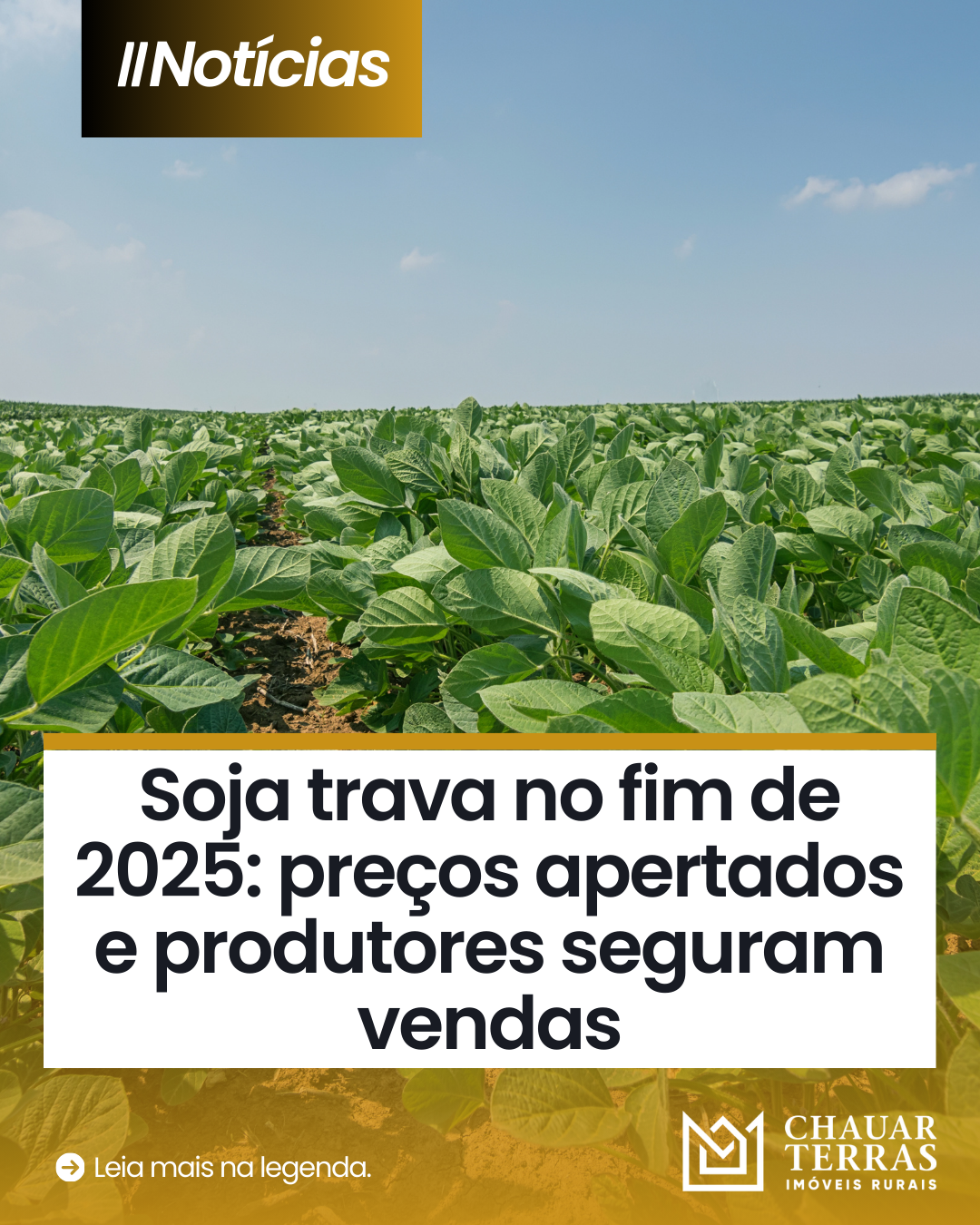 Soja trava no fim de 2025: preços apertados e produtores seguram vendas