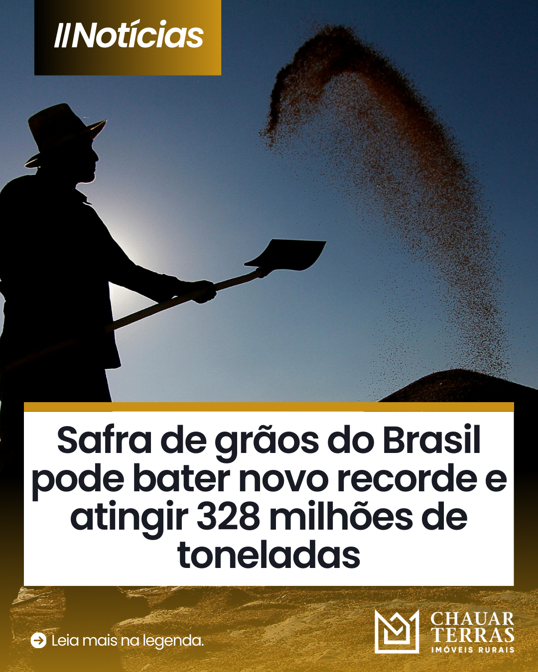 Safra de grãos do Brasil pode bater novo recorde e atingir 328 milhões de toneladas