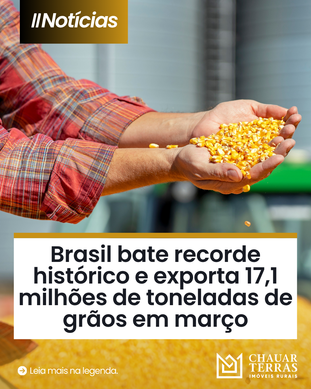 Brasil bate recorde histórico e exporta 17,1 milhões de toneladas de grãos em março